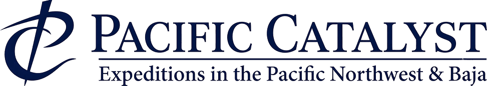 Pacific Catalyst logo