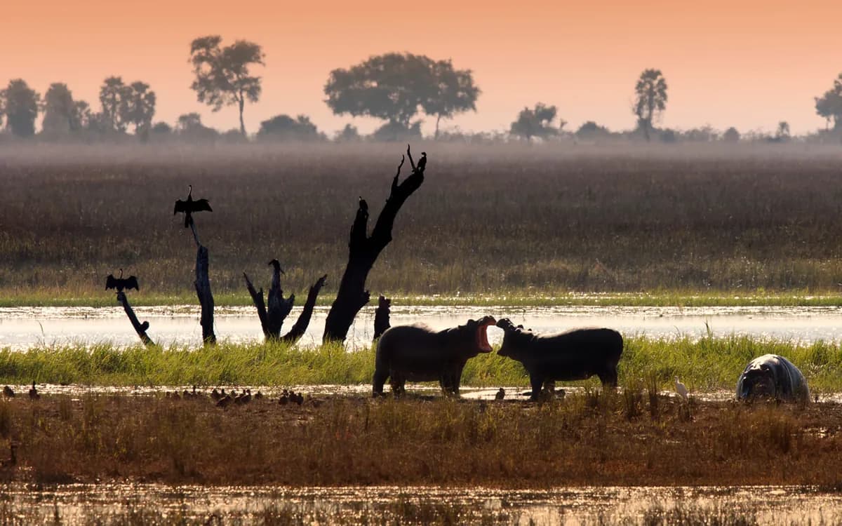 Chobe National Park cruise port