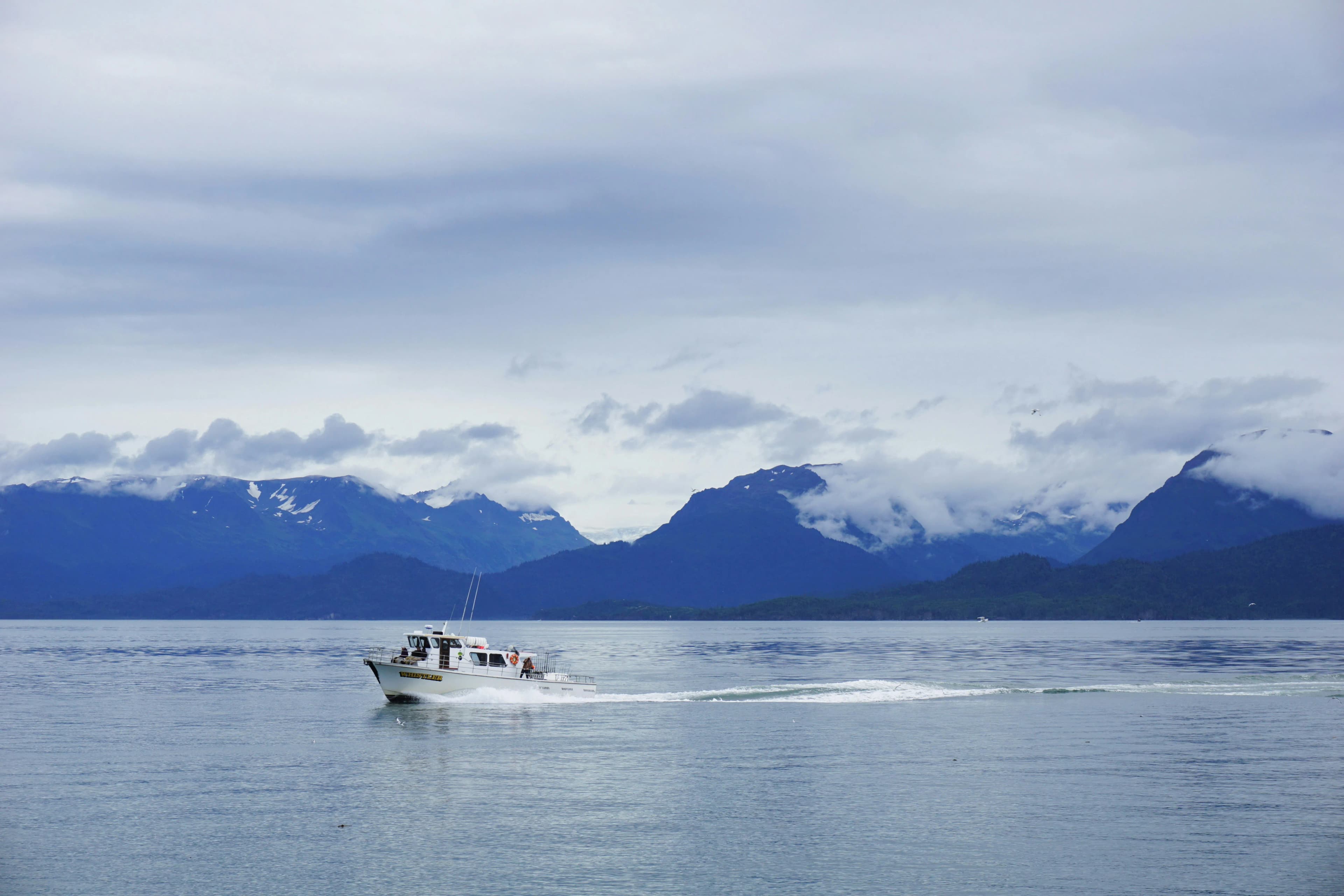 Homer AK cruise port