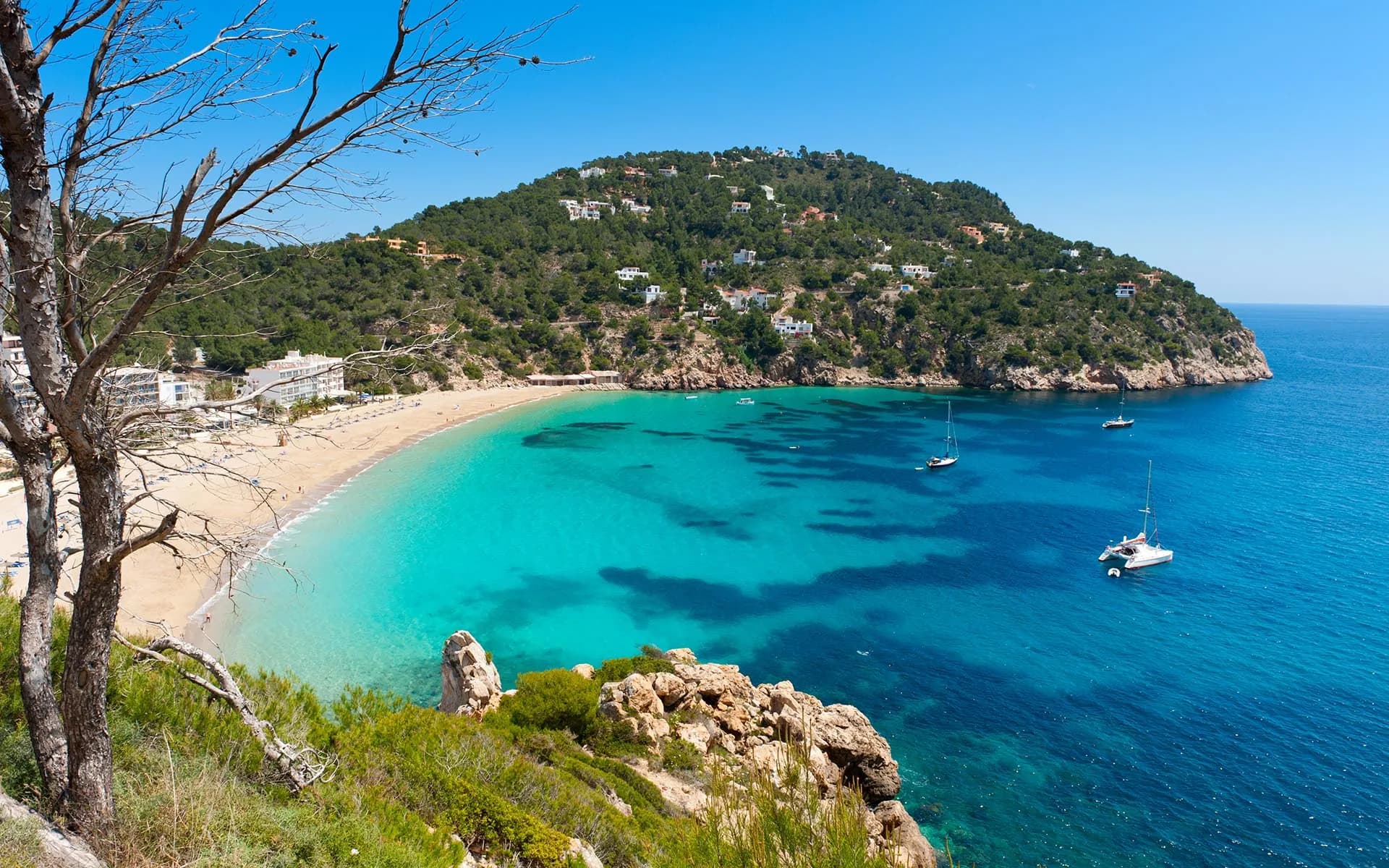 Ibiza cruise port