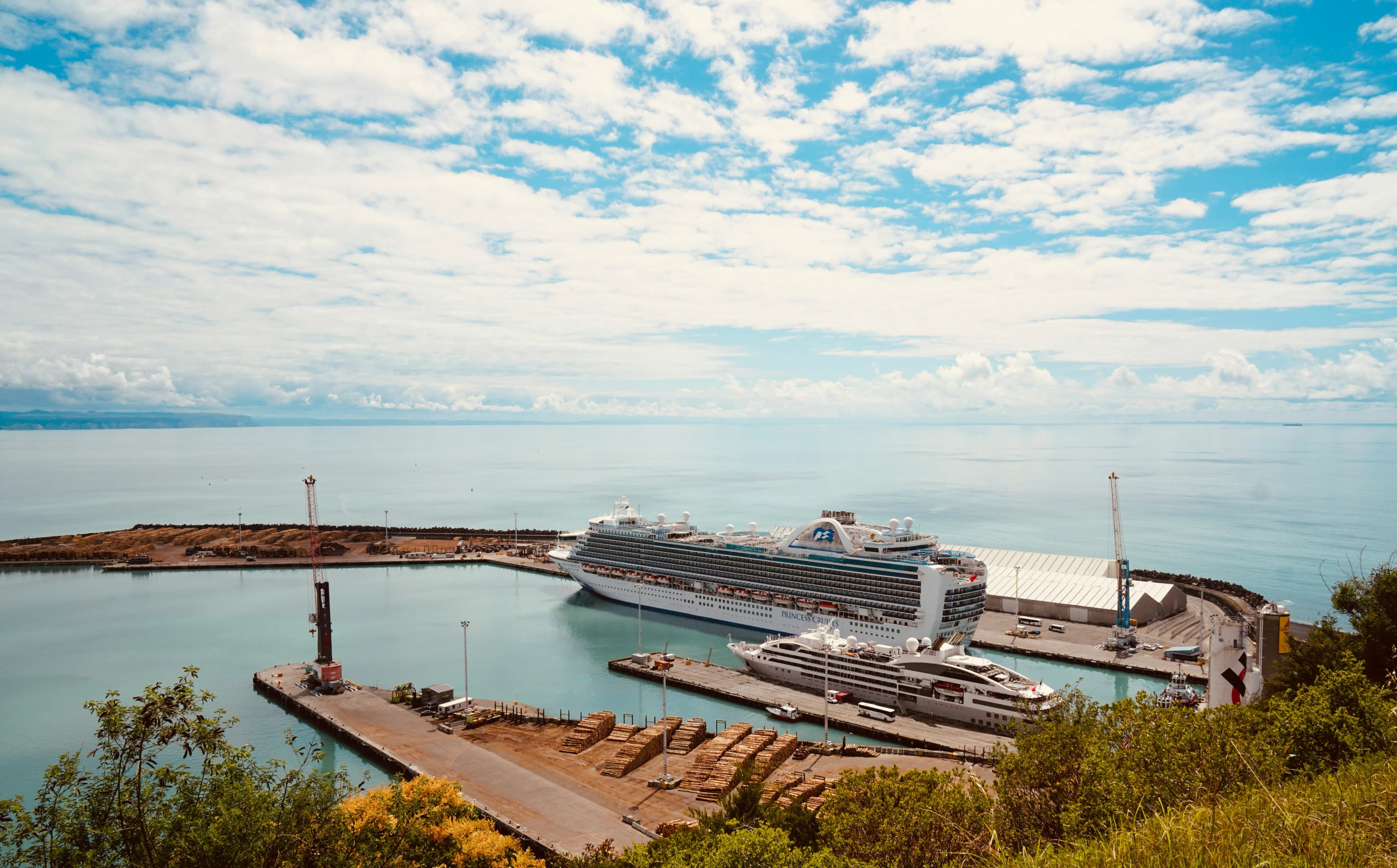 Napier cruise port