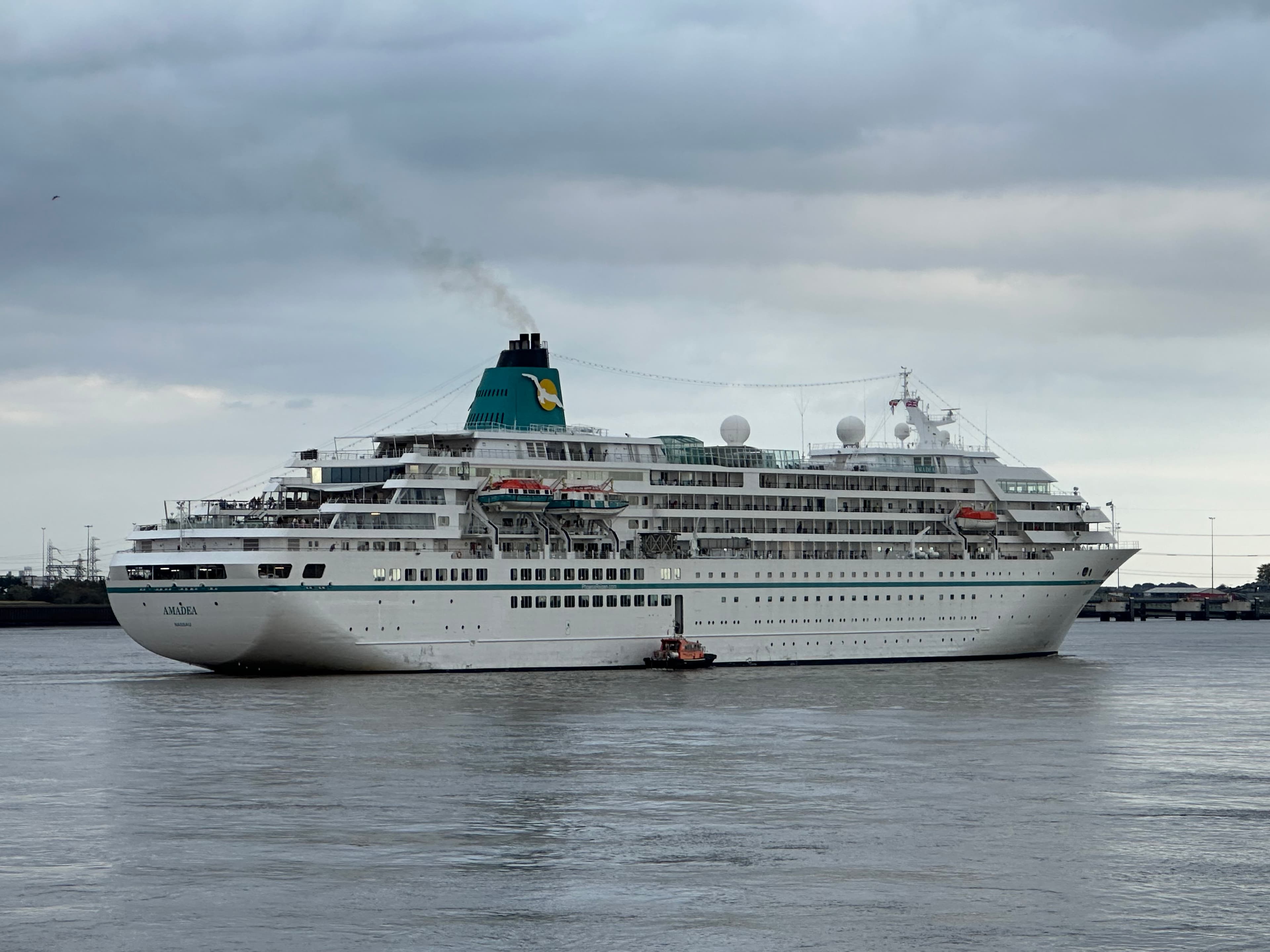 MS Amadea cruise ship